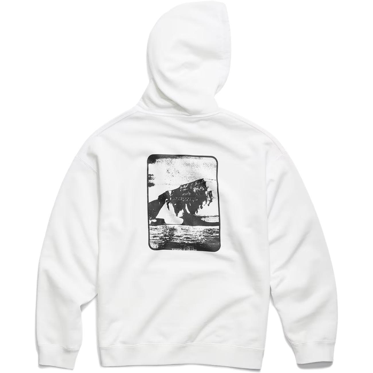Худи Canada Goose Haider Ackermann SS26 Snow Goose Logo — фото 2