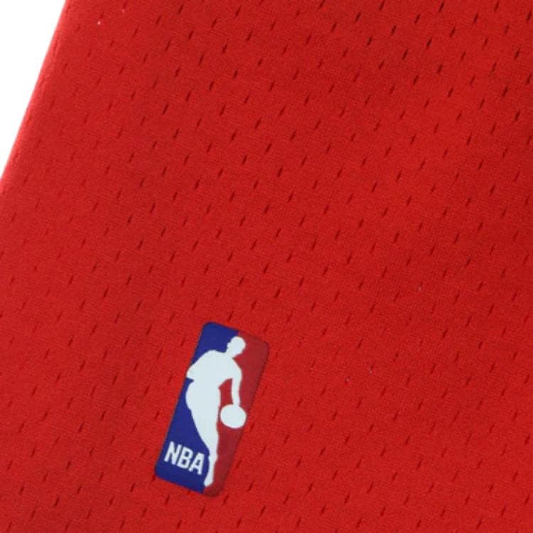 Баскетбольные шорты Mitchell & Ness Houston Rockets 93-94 Road Shorts - изображение 3