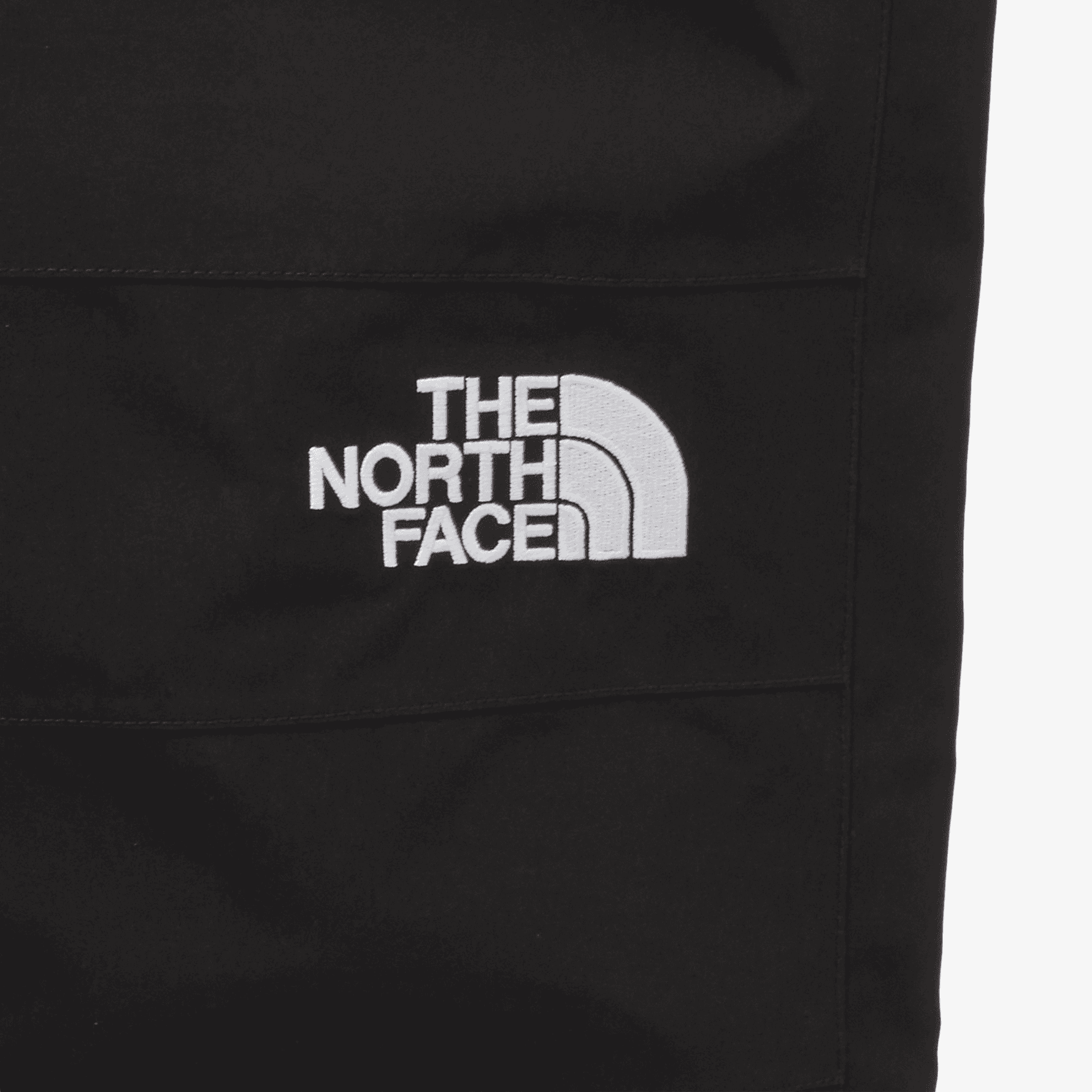 Штаны THE NORTH FACE Logo - изображение 4