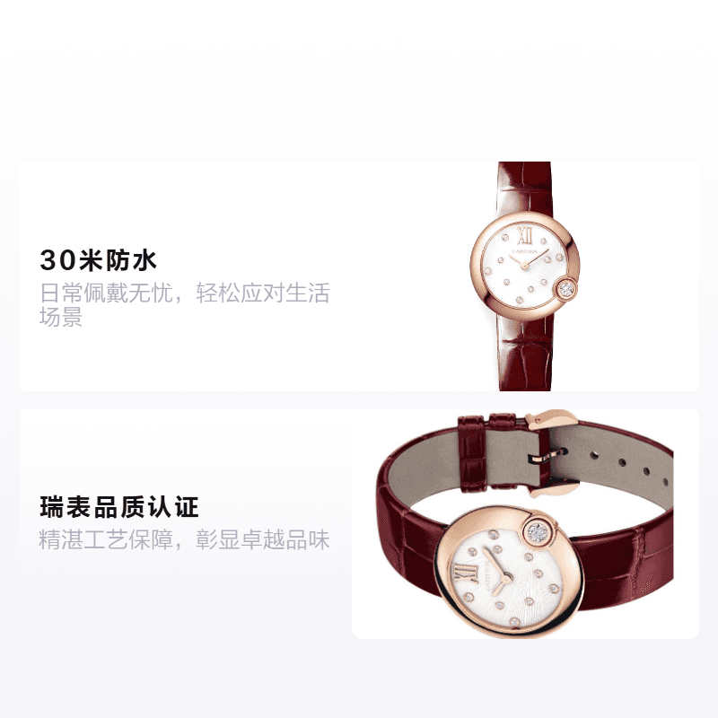 Часы Cartier Ballon Blanc WGBL0010 - изображение 2