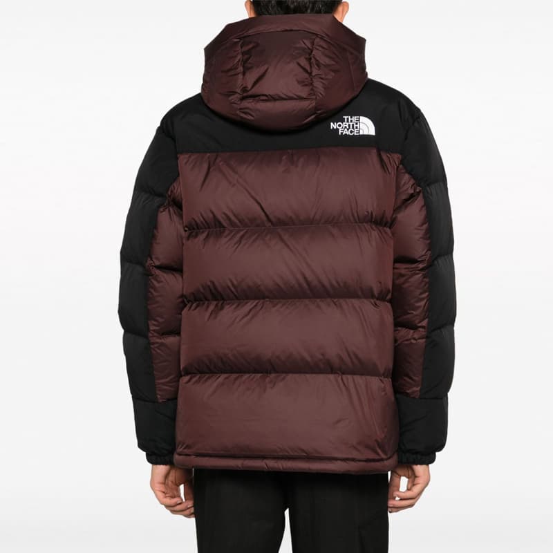 Зимняя куртка The North Face - изображение 3