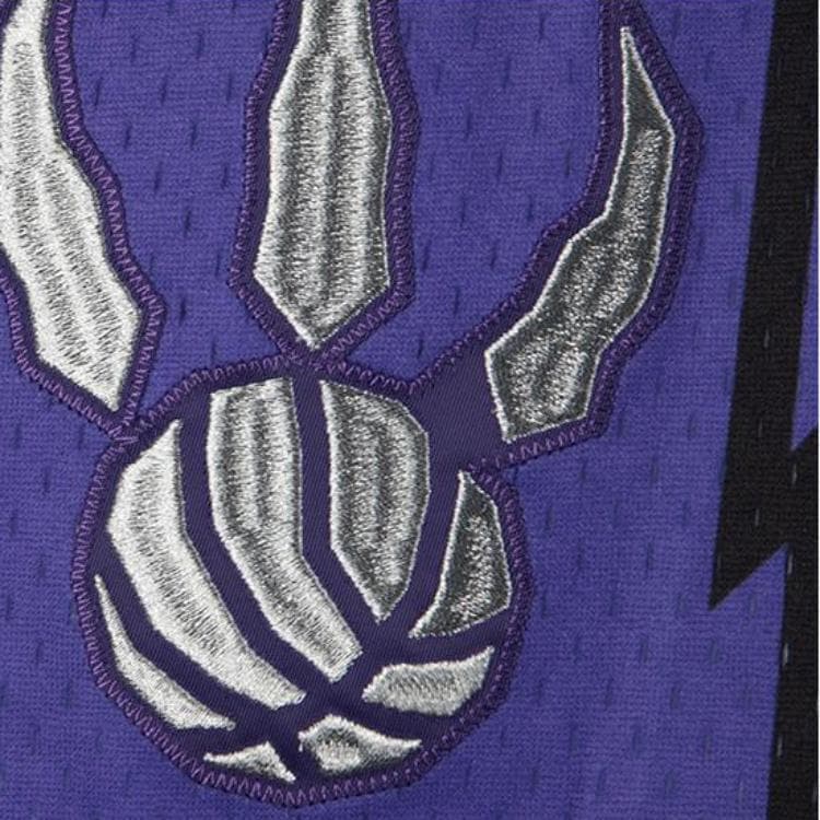 Баскетбольные шорты Mitchell & Ness Authentic Raptors Purple - изображение 3