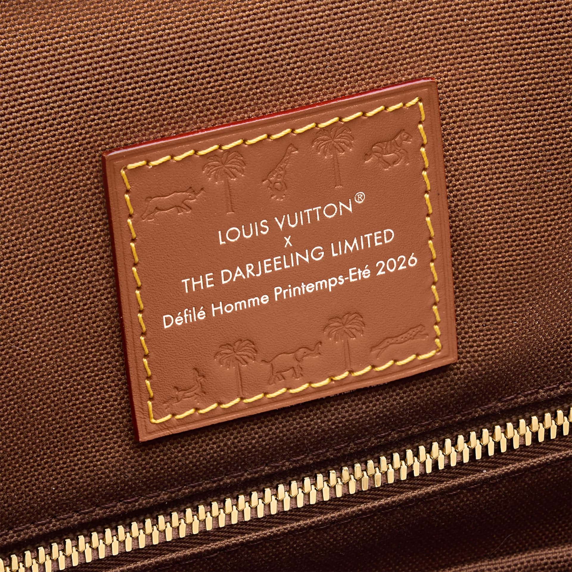Рюкзак LOUIS VUITTON x THE DARJELING LIMITED CHRISTOPHER Damier Heritage - изображение 5