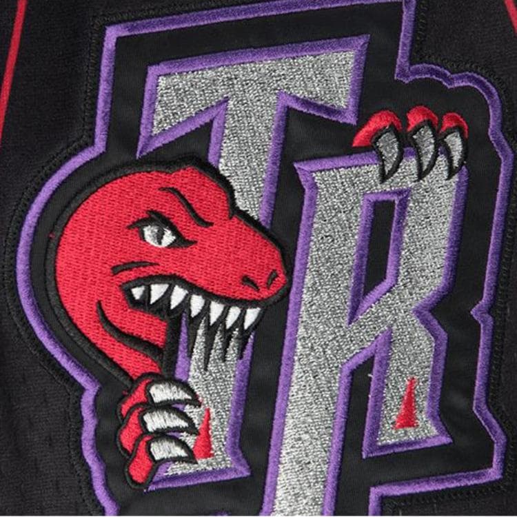 Баскетбольные шорты Mitchell & Ness Authentic Raptors Purple - изображение 4