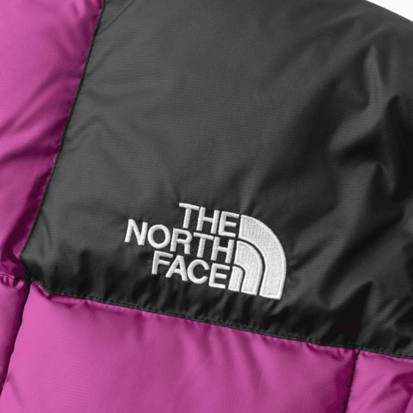 Зимняя куртка The North Face 1990 Lhotse Jacket 700 Fill - изображение 2