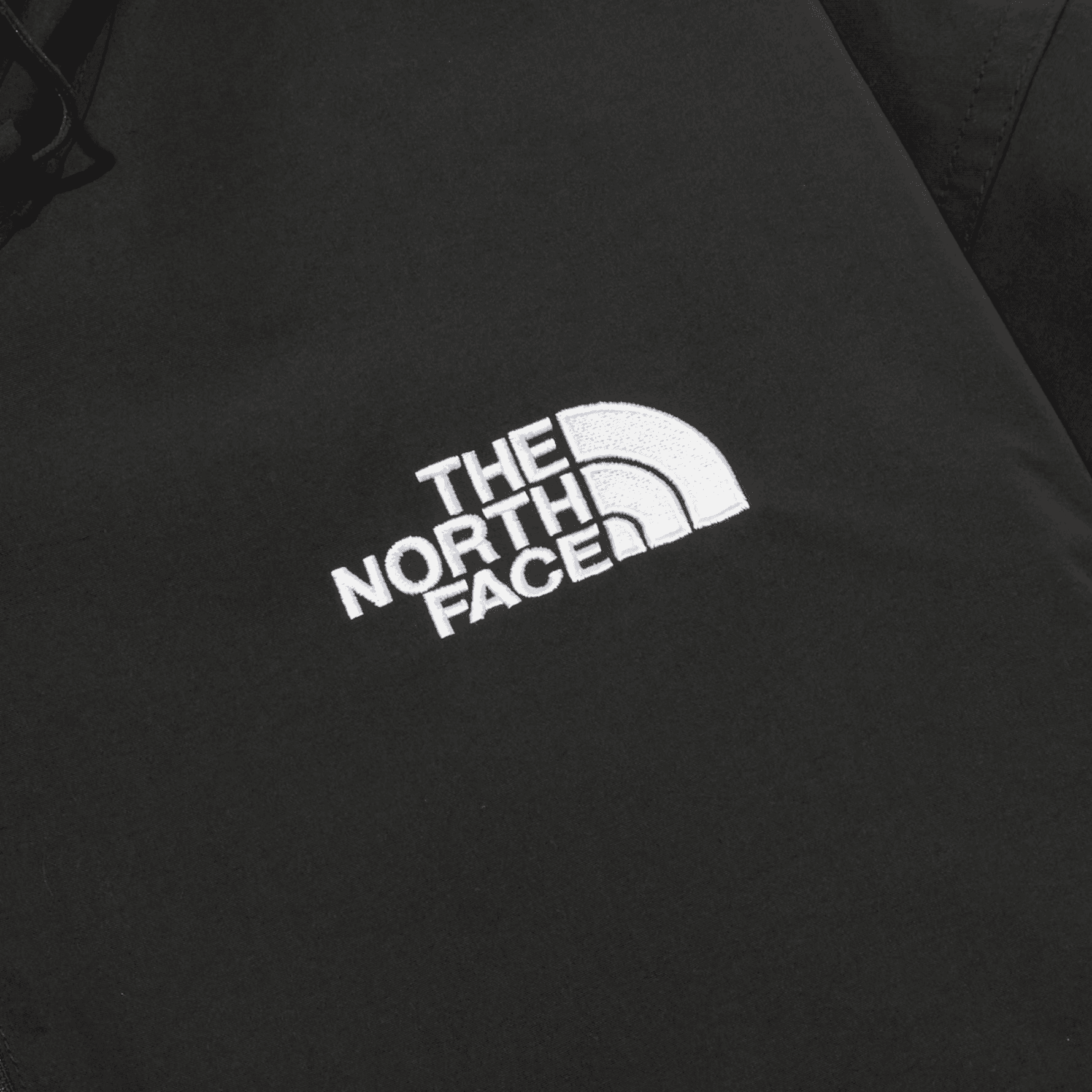 Куртка THE NORTH FACE SS23 Logo - изображение 4