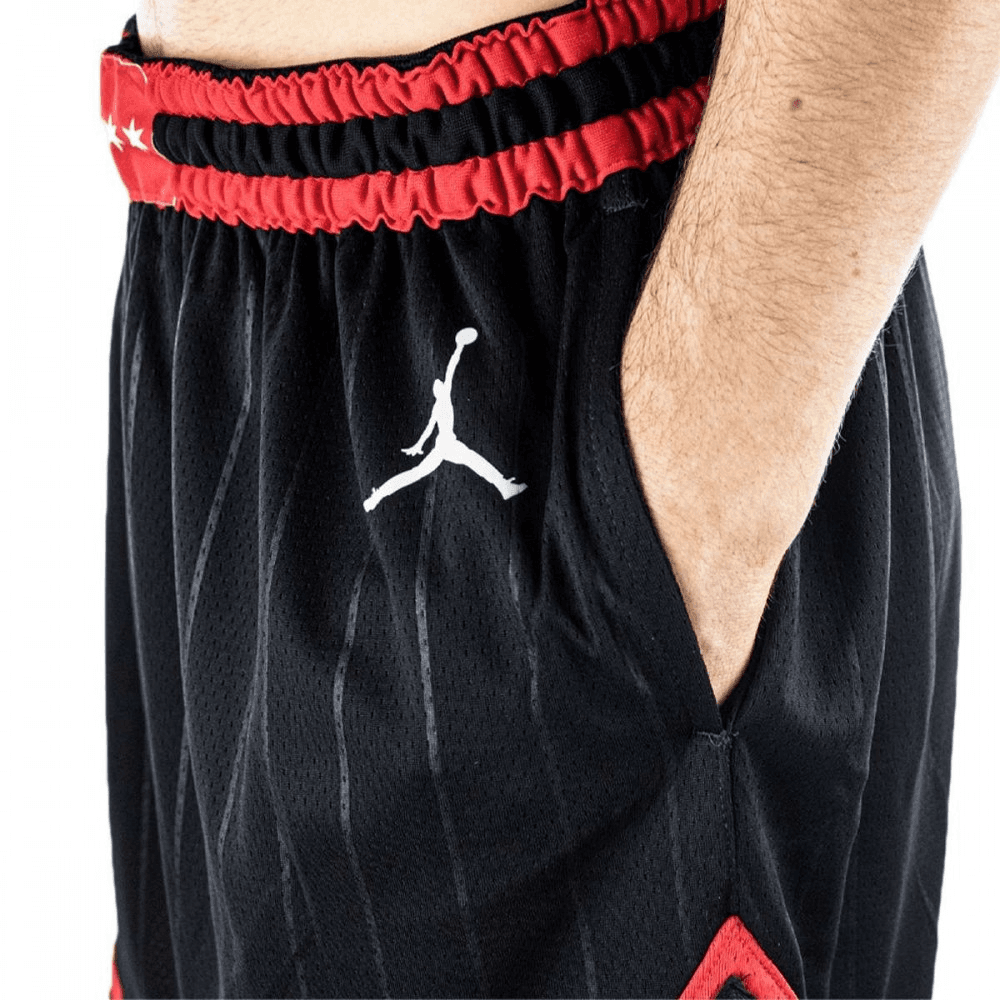 Баскетбольные шорты Jordan NBA Bulls Logo Print Basketball Shorts Black - изображение 5