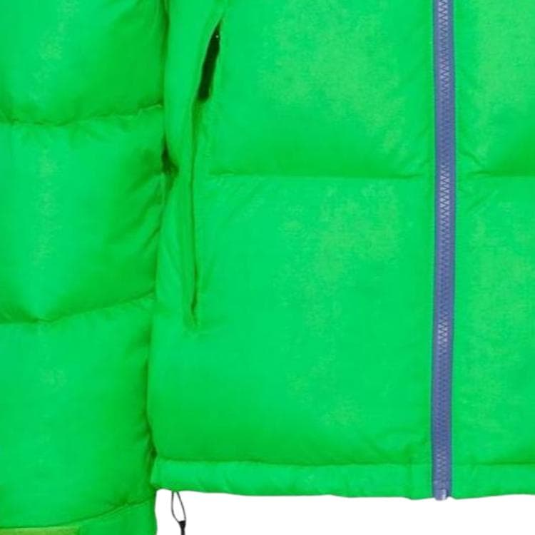 Зимняя куртка THE NORTH FACE - изображение 5