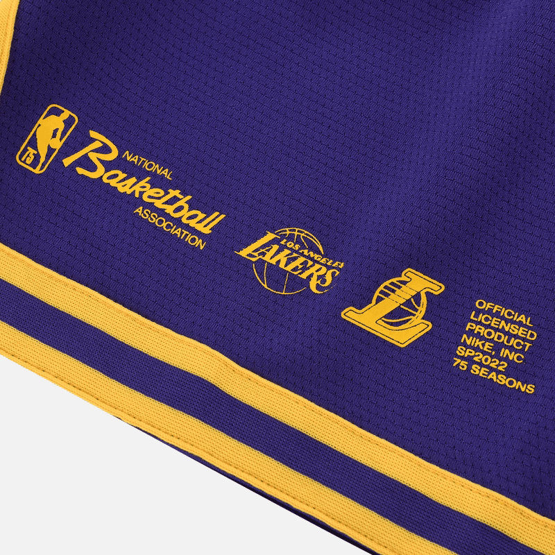 Баскетбольные шорты Nike Dri-FIT NBA Lakers Basketball Shorts - изображение 5
