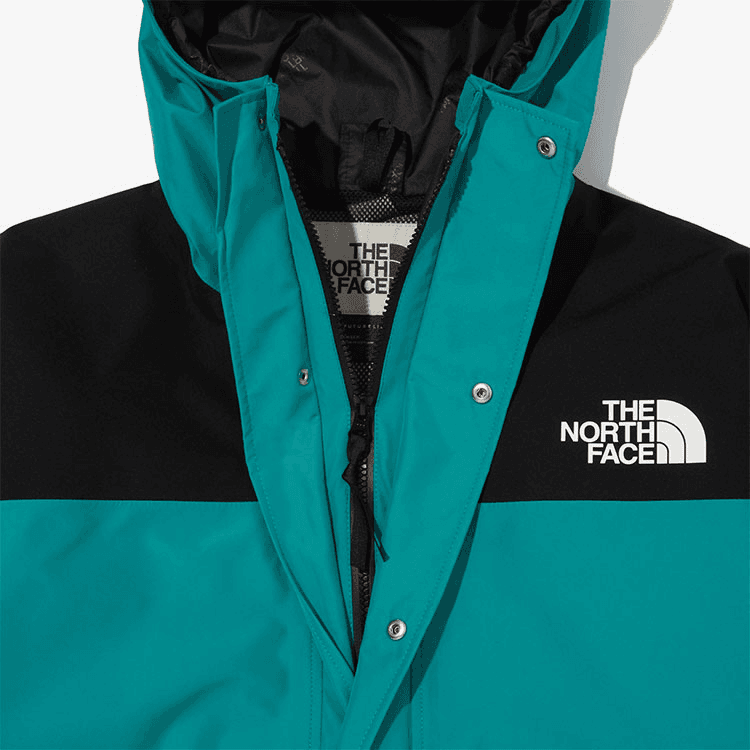 Куртка The North Face Retro1986 Futurelight Mountain Jacket - изображение 4