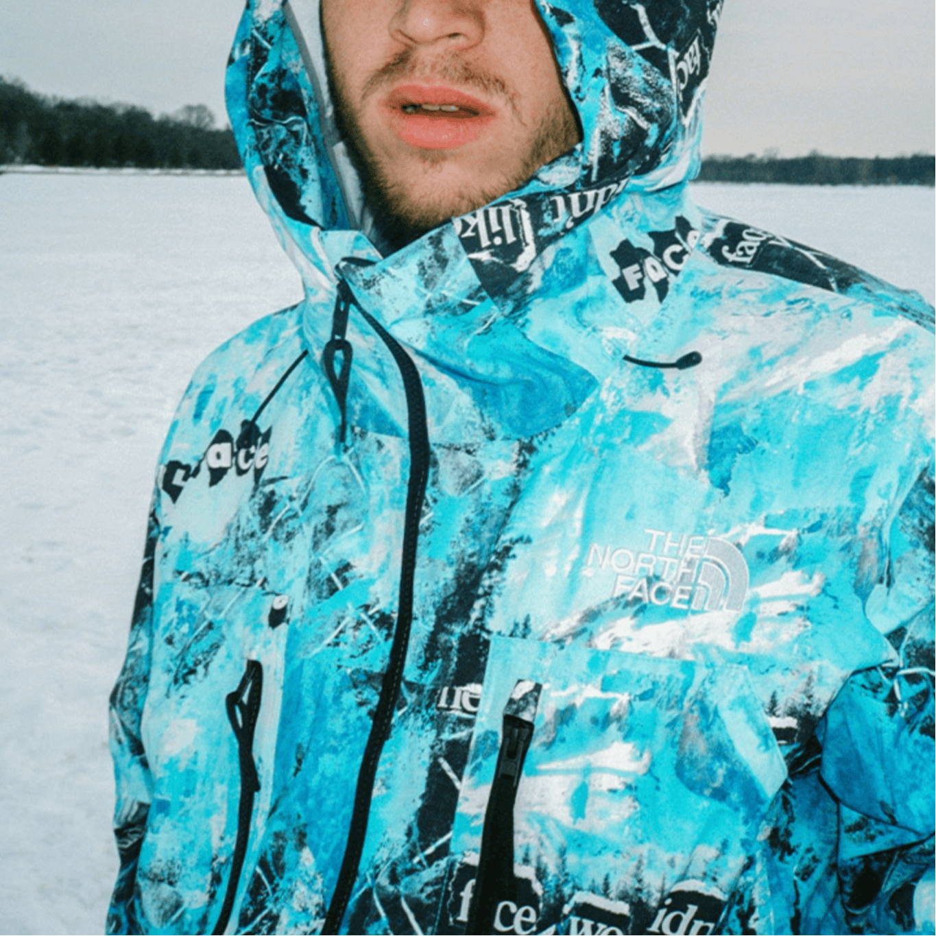 Демисезонная куртка The North Face - изображение 4