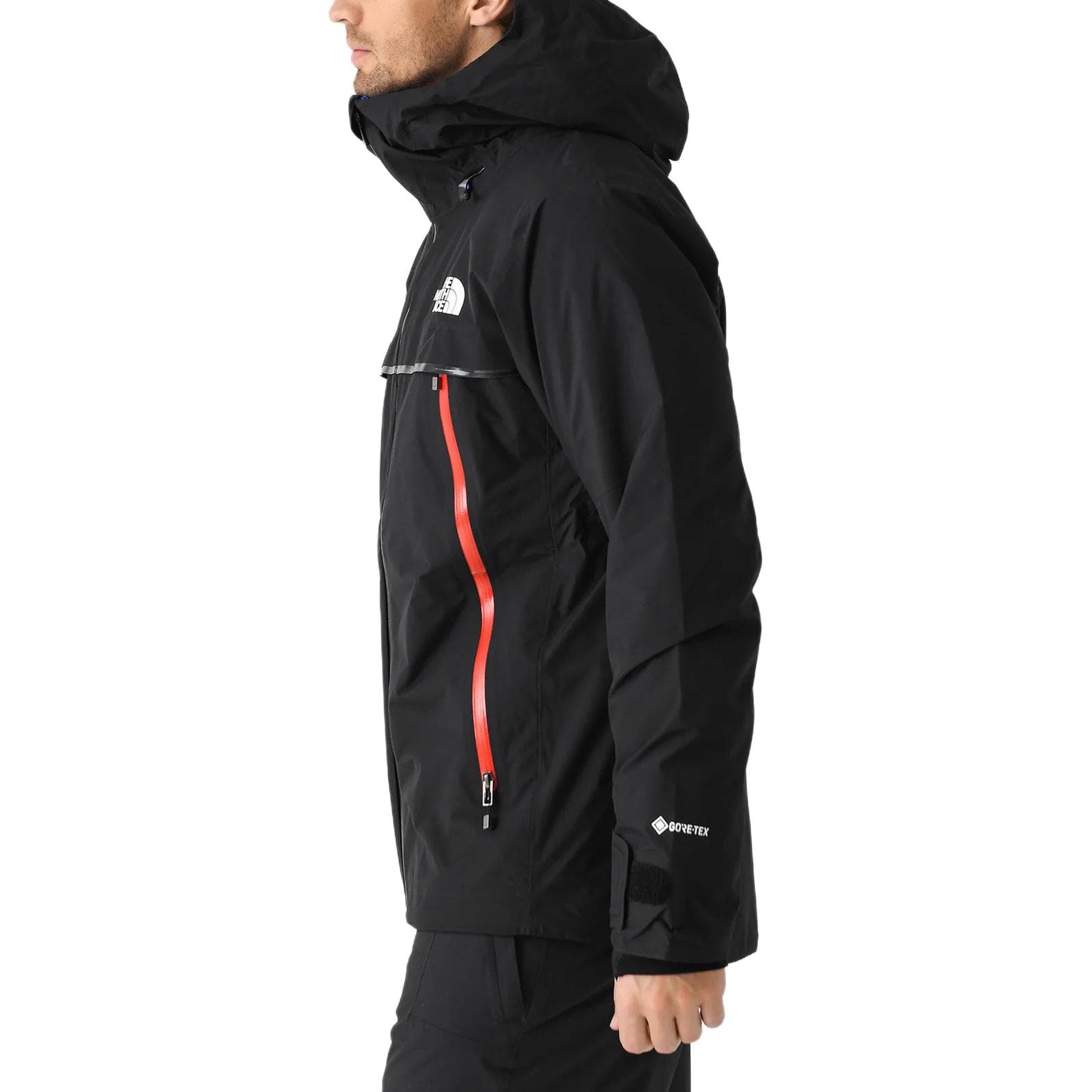 Горнолыжный костюм THE NORTH FACE Accipiter GTX Jacket - изображение 4