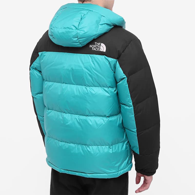 Зимняя куртка The North Face - изображение 3