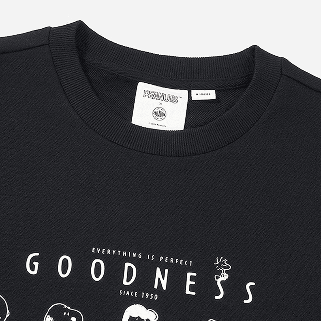 Худи Palladium x SNOOPY COLLAB - изображение 3