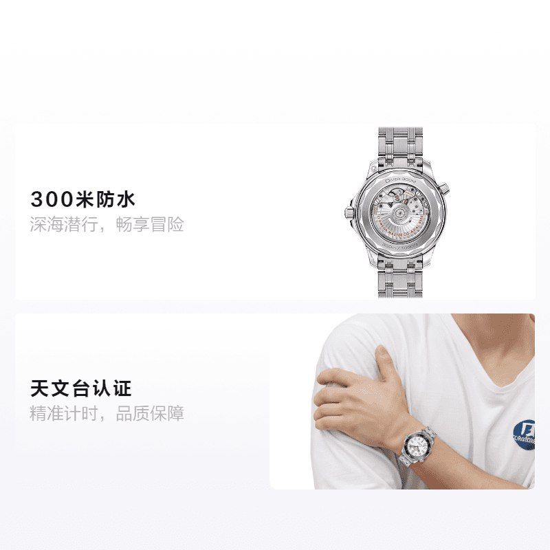 Часы OMEGA Seamaster 210.30.42.20.04.001 - изображение 2