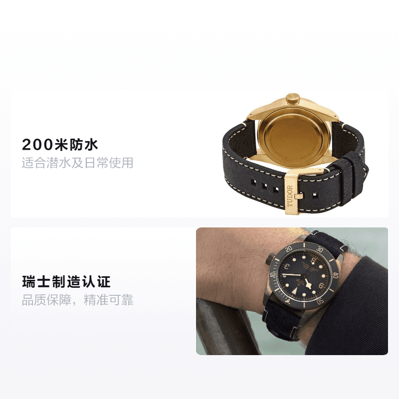 Часы Tudor Black Bay M79250BA-0001 - изображение 2