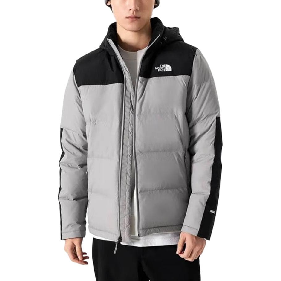 Зимняя куртка THE NORTH FACE Logo - изображение 3