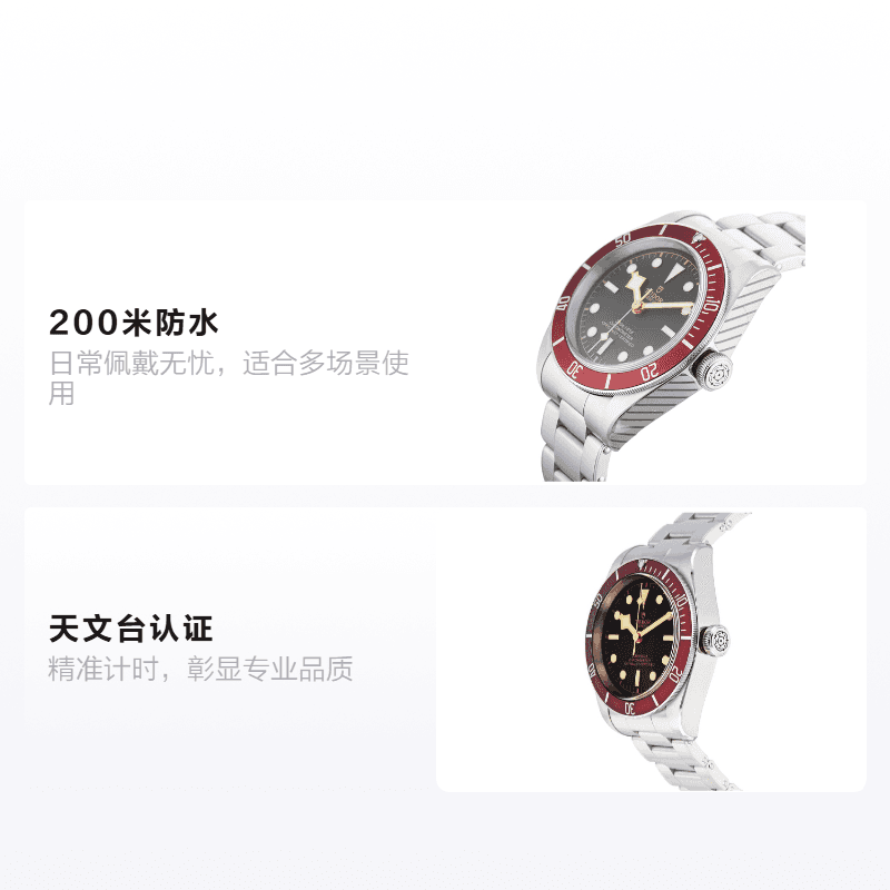 Часы Tudor Black Bay M79230R-0012 - изображение 2