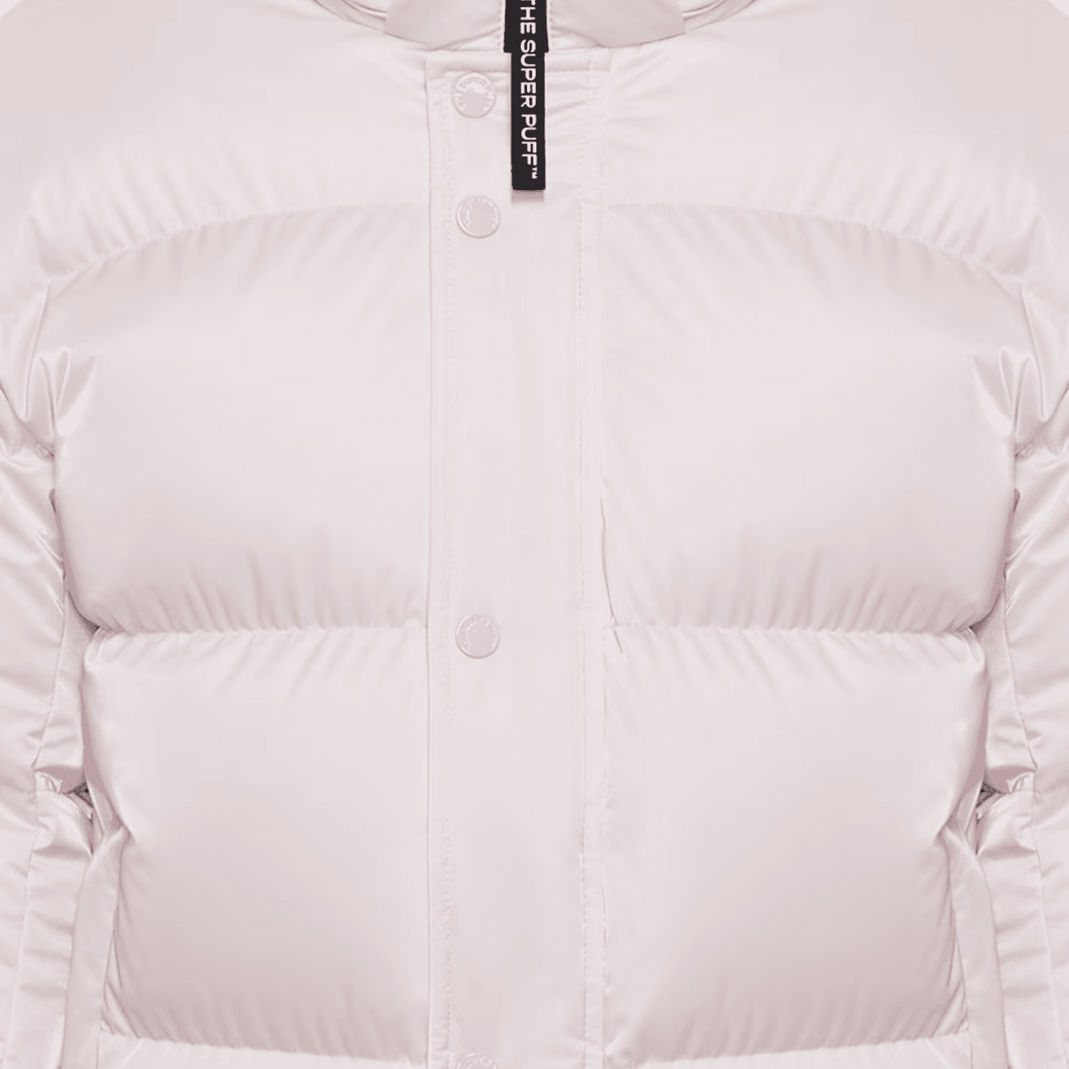 Пуховик ARITZIA The Супер Puff™ Shorty Жидкость SHINE Пуховик Женские - изображение 2