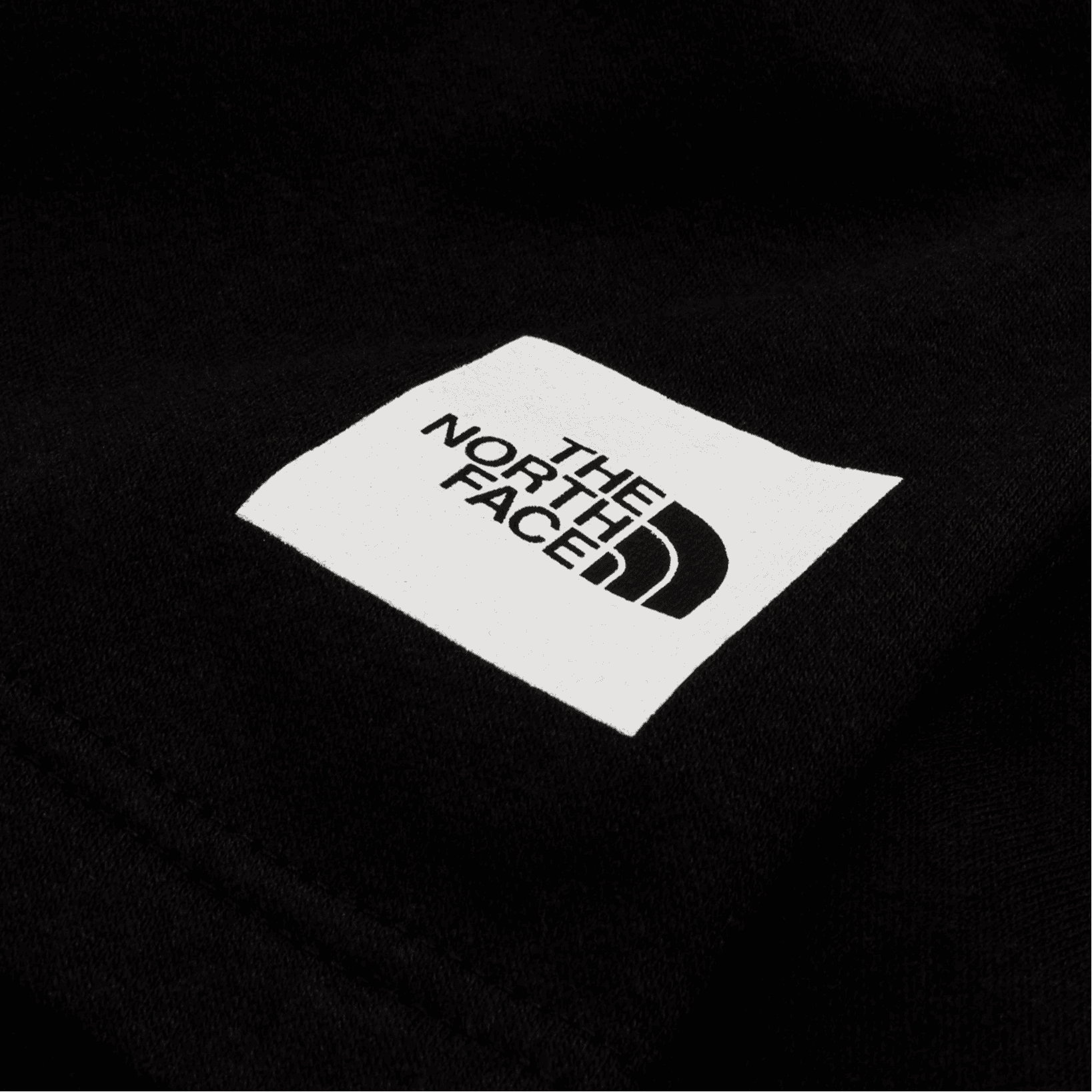 Тренировочные штаны THE NORTH FACE NSE - изображение 4