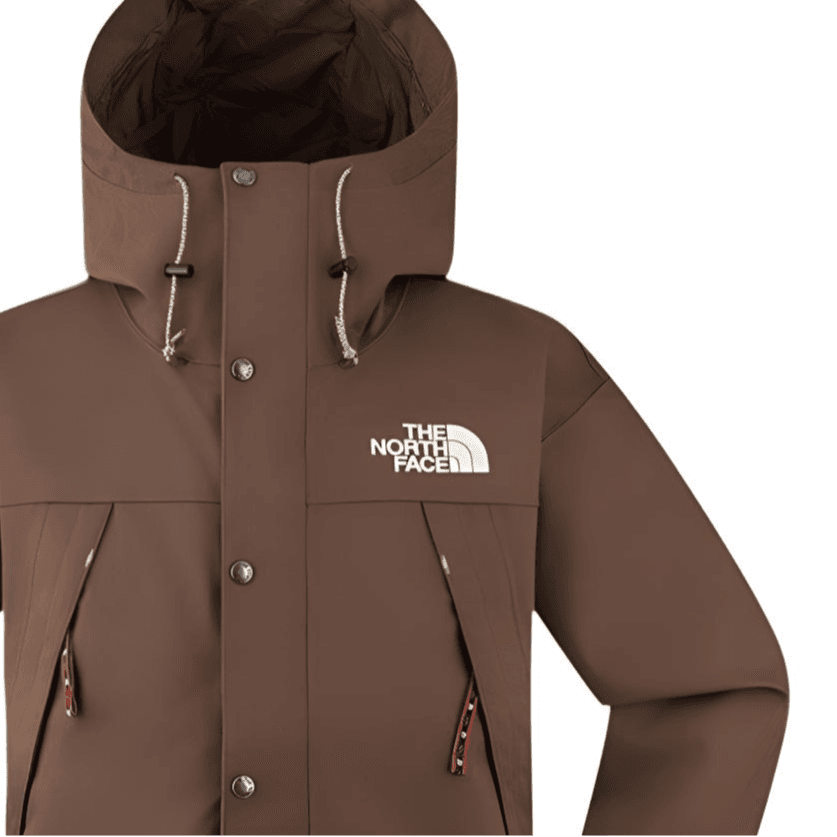 Демисезонная куртка THE NORTH FACE Dryvent CNY - изображение 4