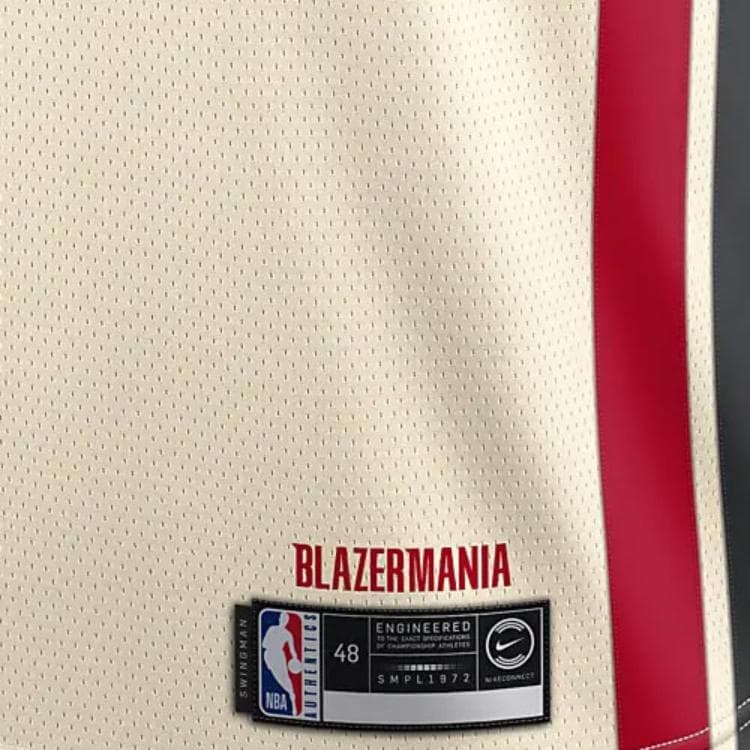 Баскетбольная майка Nike NBA SW 19-20 3 - изображение 4