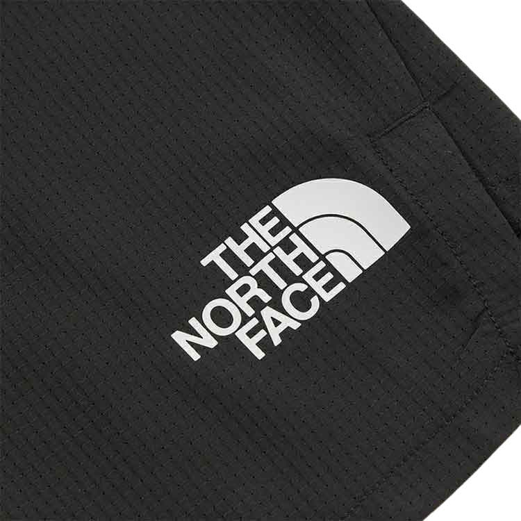 Тренировочные штаны THE NORTH FACE SS22 Logo - изображение 3