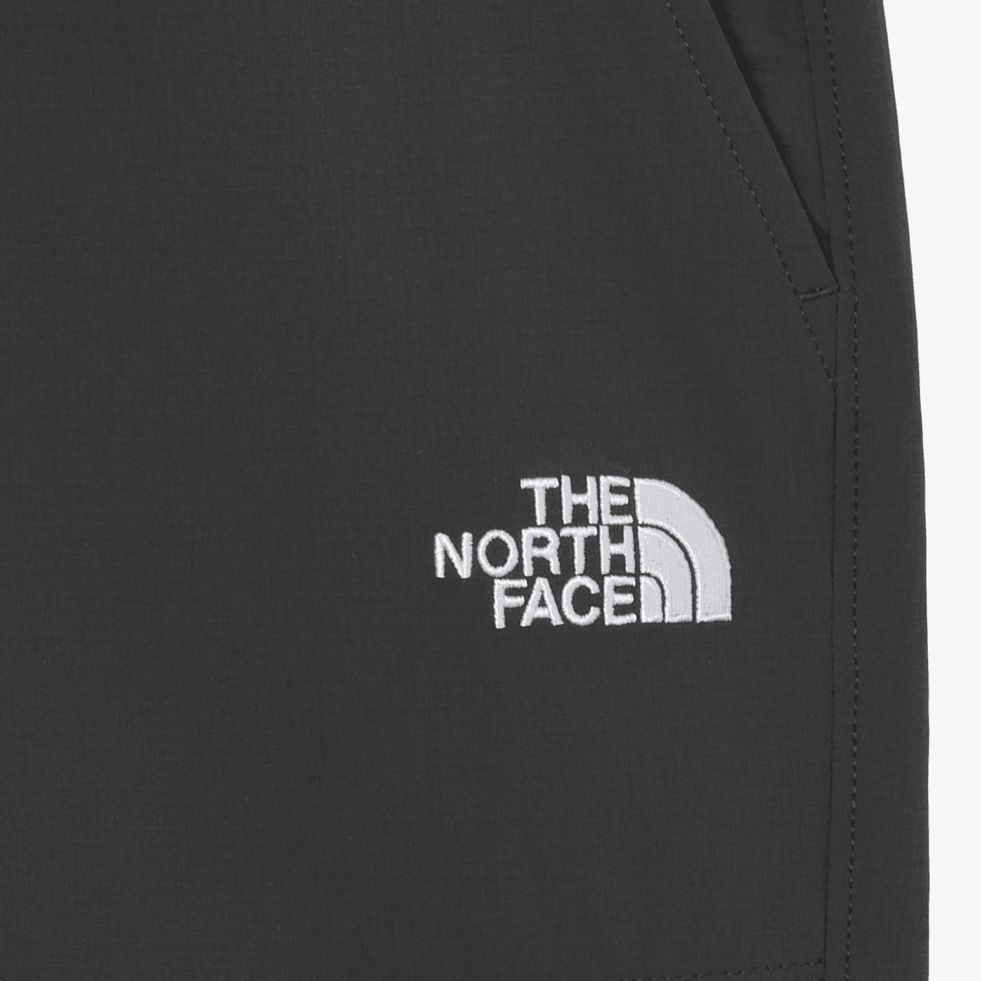 Шорты THE NORTH FACE Logo - изображение 3