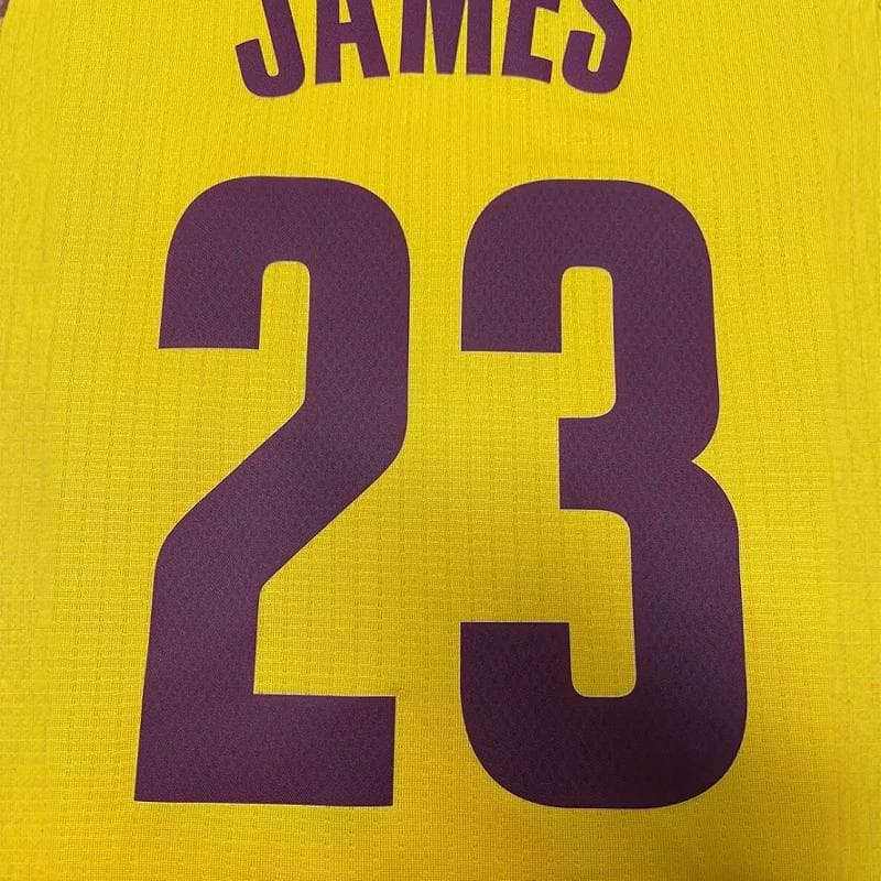 Баскетбольная майка adidas x NBA JAMES 23 - изображение 4
