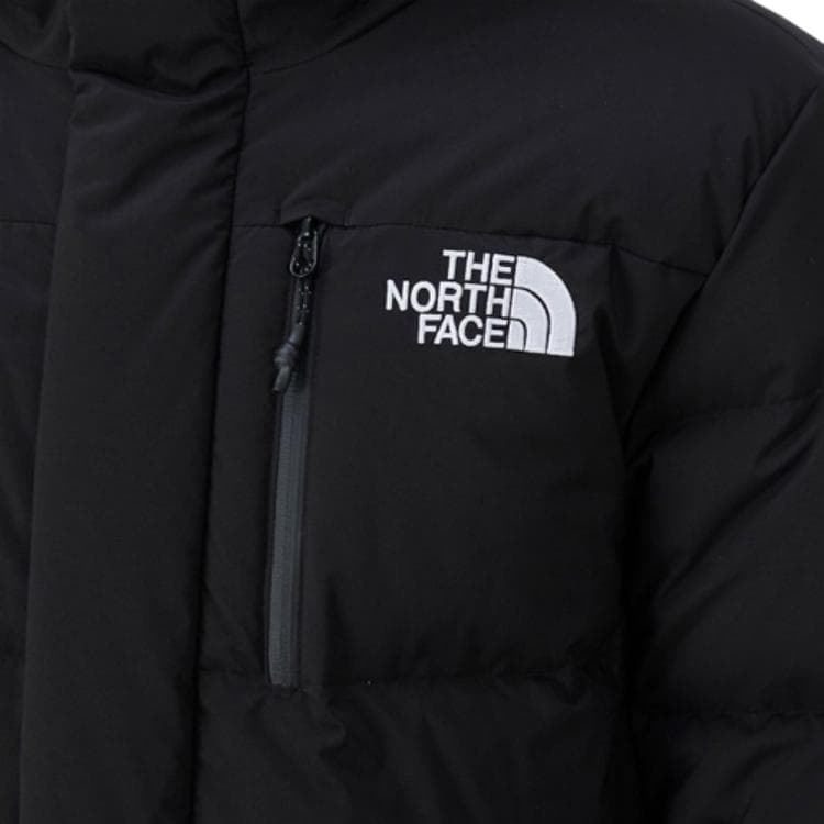 Зимняя куртка The North Face Eco Free - изображение 3