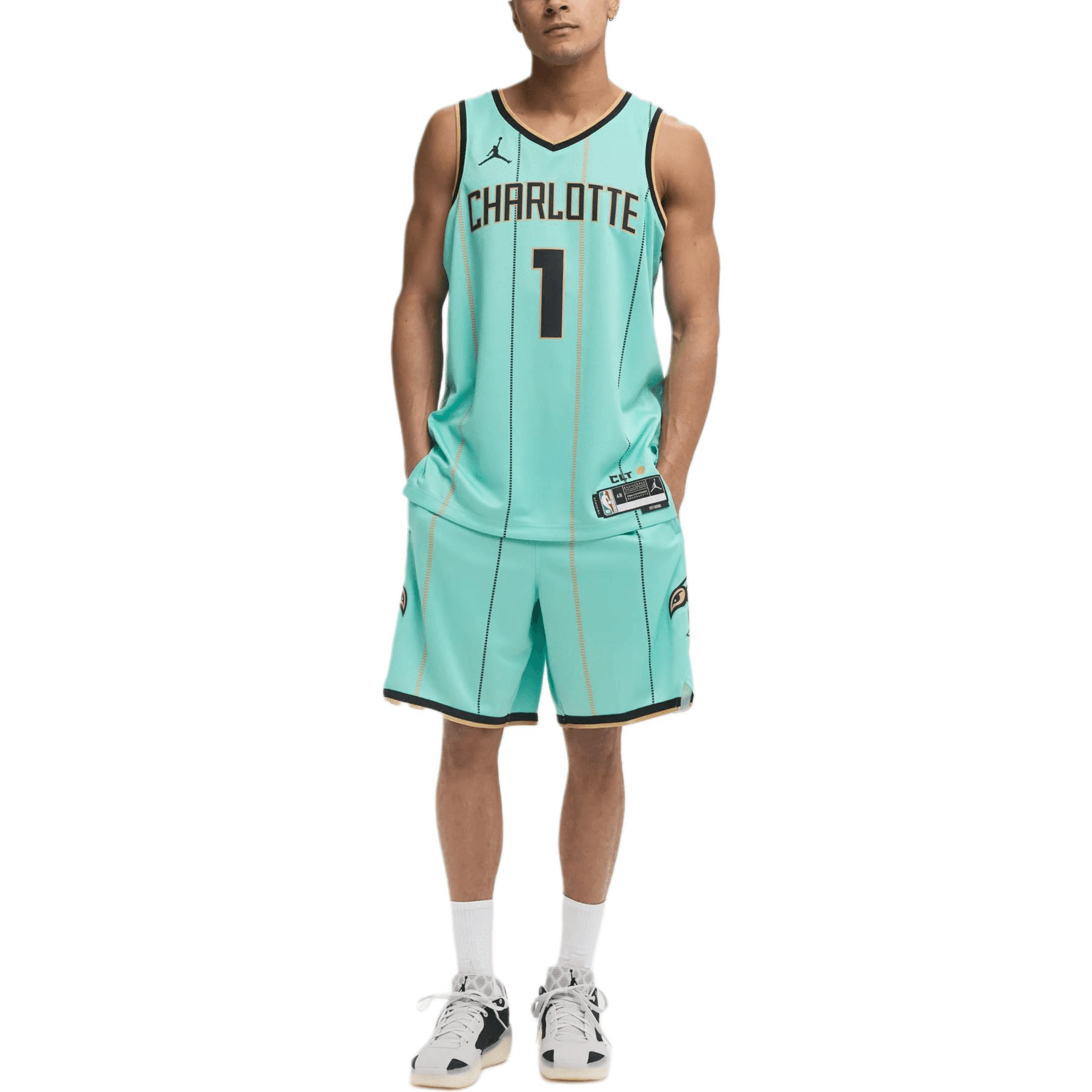 Баскетбольные шорты Jordan x NBA Charlotte Hornets Mint Green - изображение 3