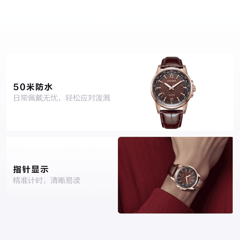 Часы CITIZEN BX1009-10X - изображение 2