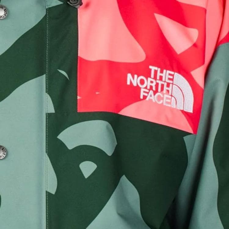 Демисезонная куртка THE NORTH FACE x KAWS 1986 Moutain Jacket - изображение 3