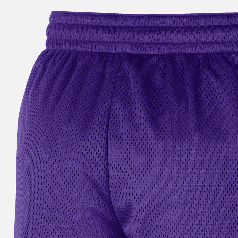 Баскетбольные шорты Nike Lakers NBA Shorts Purple - изображение 4