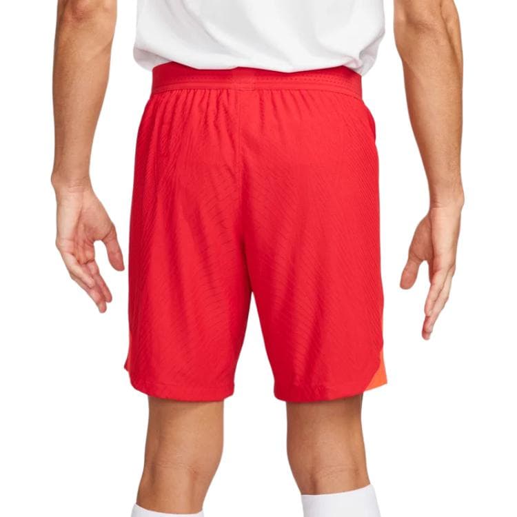 Шорты Nike Dri-FIT ADV Vapor 4 logo - изображение 2