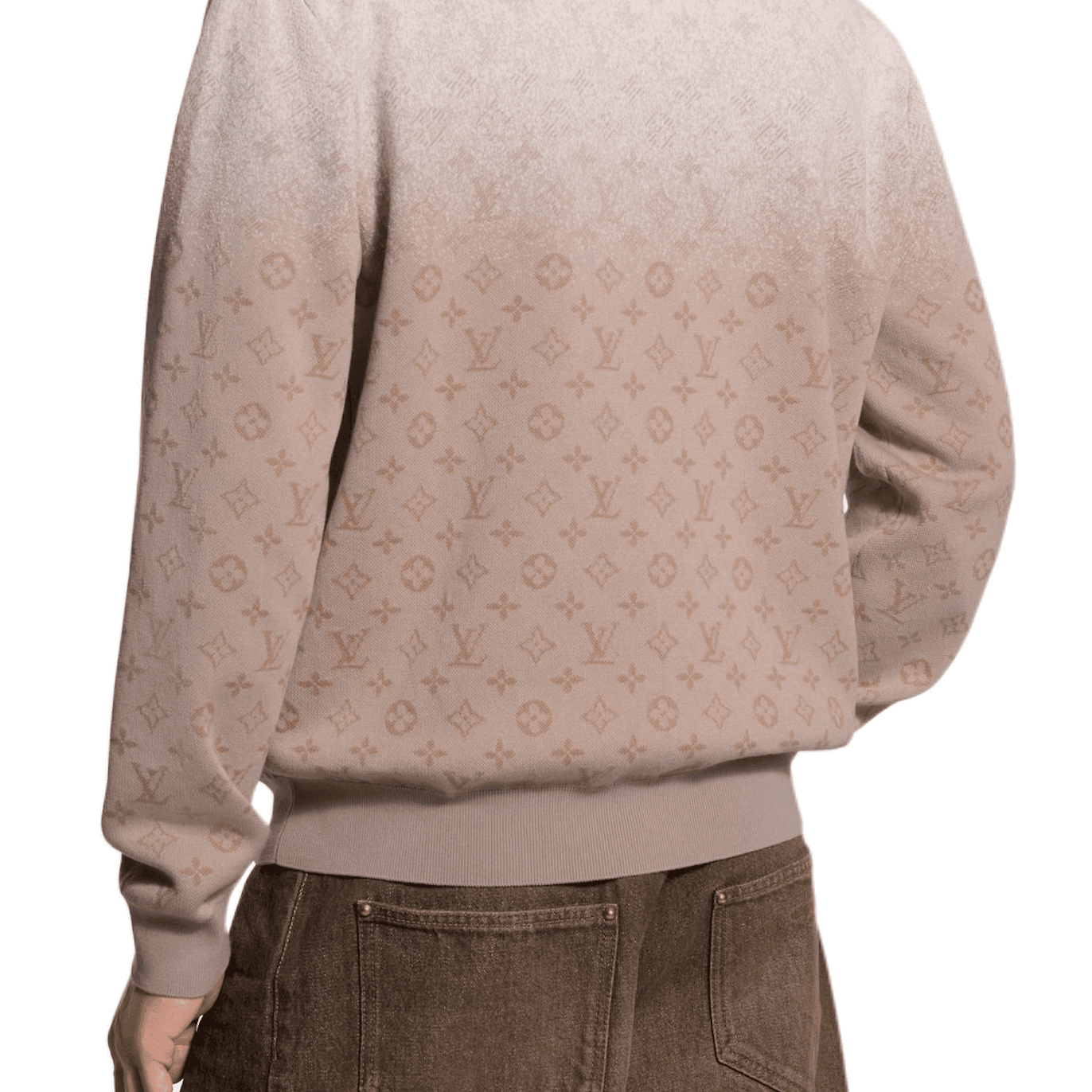 Худи LOUIS VUITTON SS26 - изображение 5