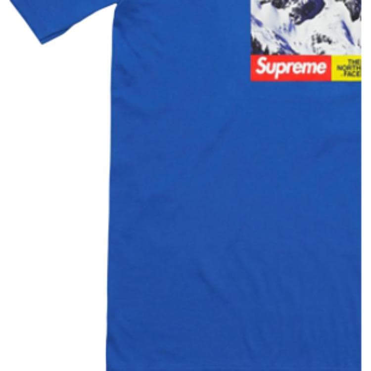 Футболка Supreme x The North Face Mountain Tee Royal - изображение 4