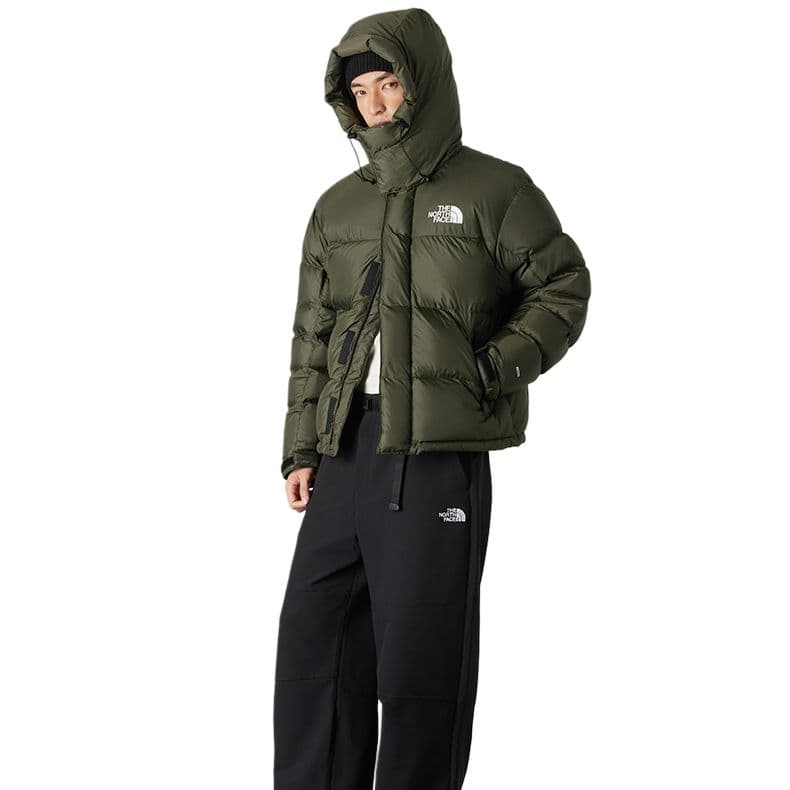 Зимняя куртка THE NORTH FACE HMLYN BALTORO 600 - изображение 2