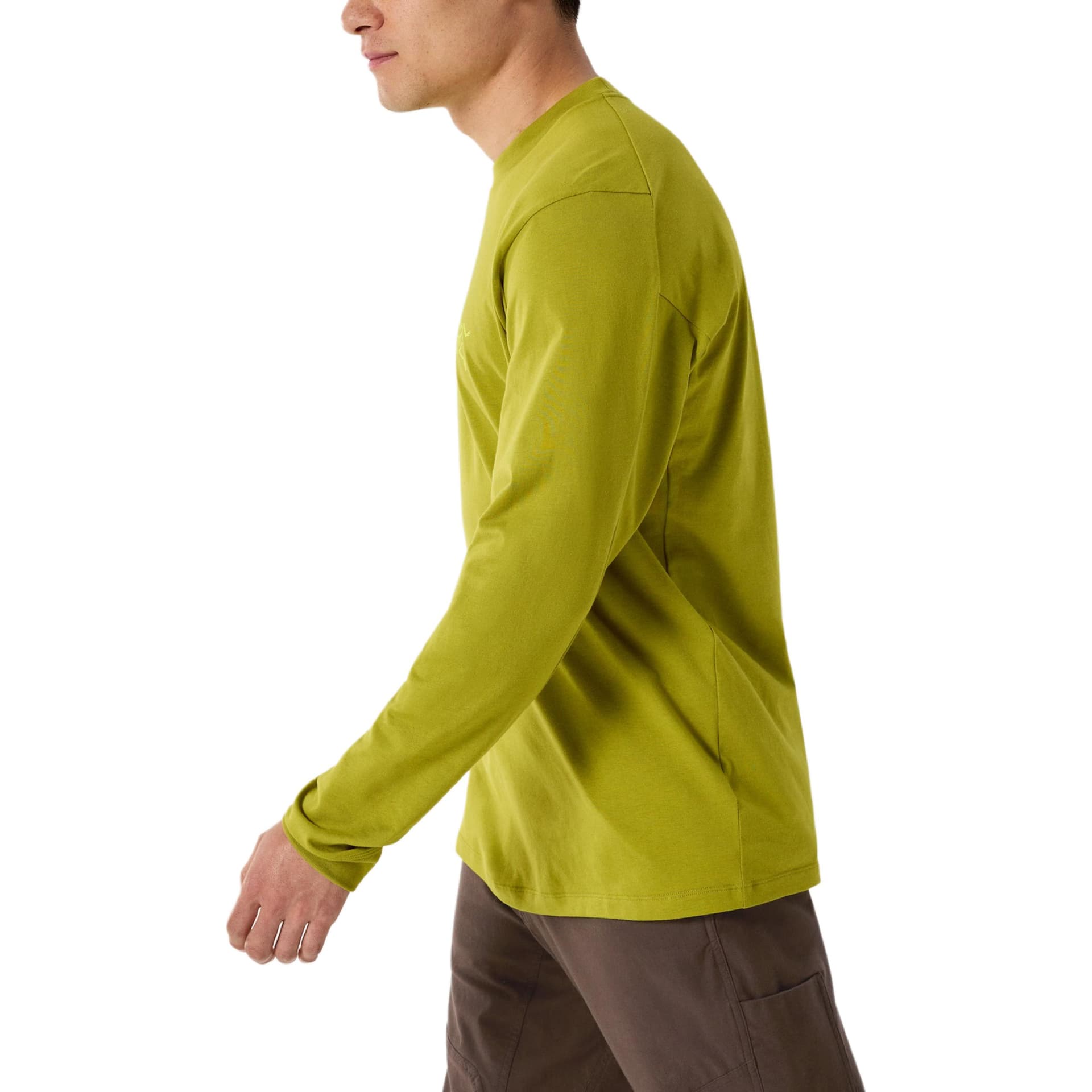 Футболка Arcteryx Kragg LogoT - изображение 4