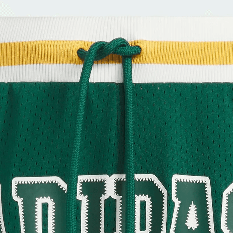 Баскетбольные шорты adidas SS24 - изображение 4