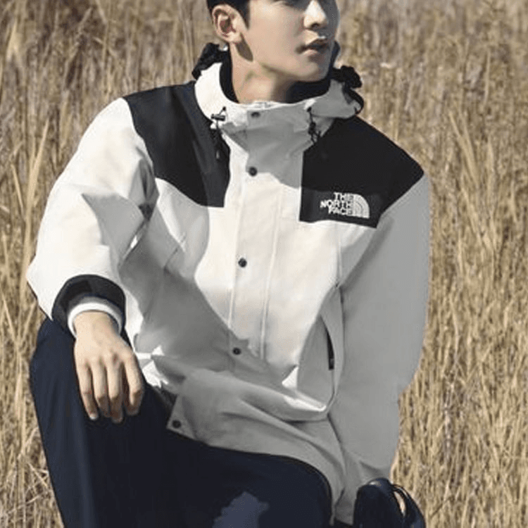 Демисезонная куртка The North Face Novelty Gtx Mountain Jacket - изображение 4
