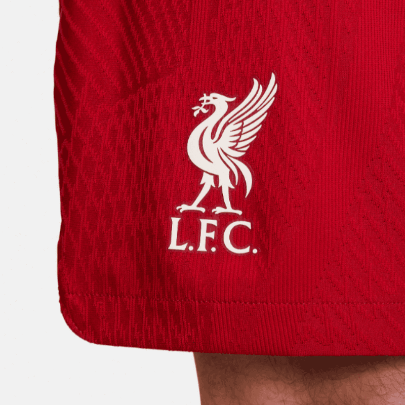 Тренировочные штаны Nike Liverpool FC 2022/23 Match Home Shorts - изображение 4