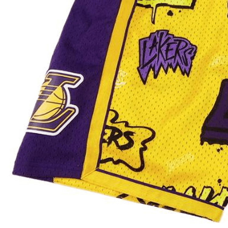 Баскетбольные шорты Mitchell Ness 09-10 - изображение 2