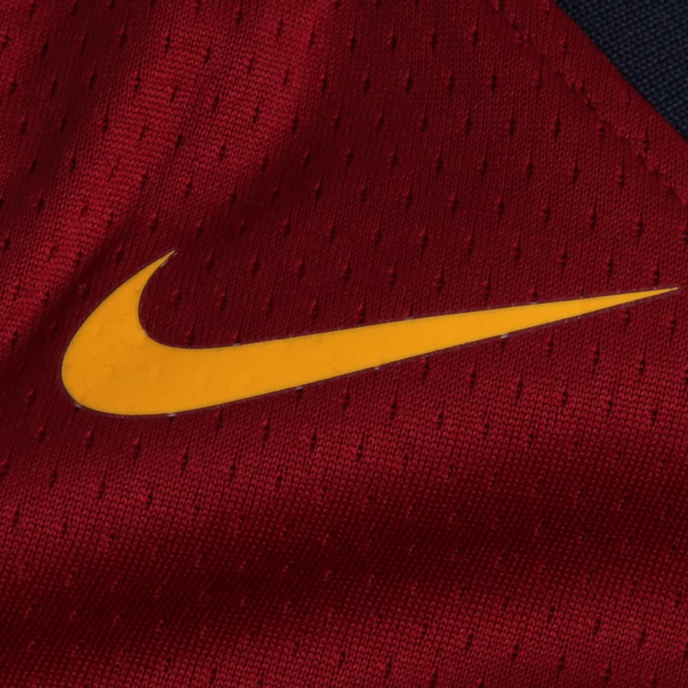 Баскетбольная майка Nike NBA Jersey Icon Edition LeBron James 23 Cleveland Cavaliers - изображение 6