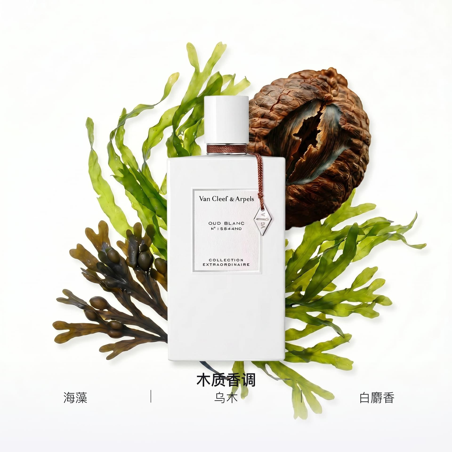Парфюм Van Cleef & Arpels Extraordinary Collection Yunxue White Jade EDP 75ml - изображение 2