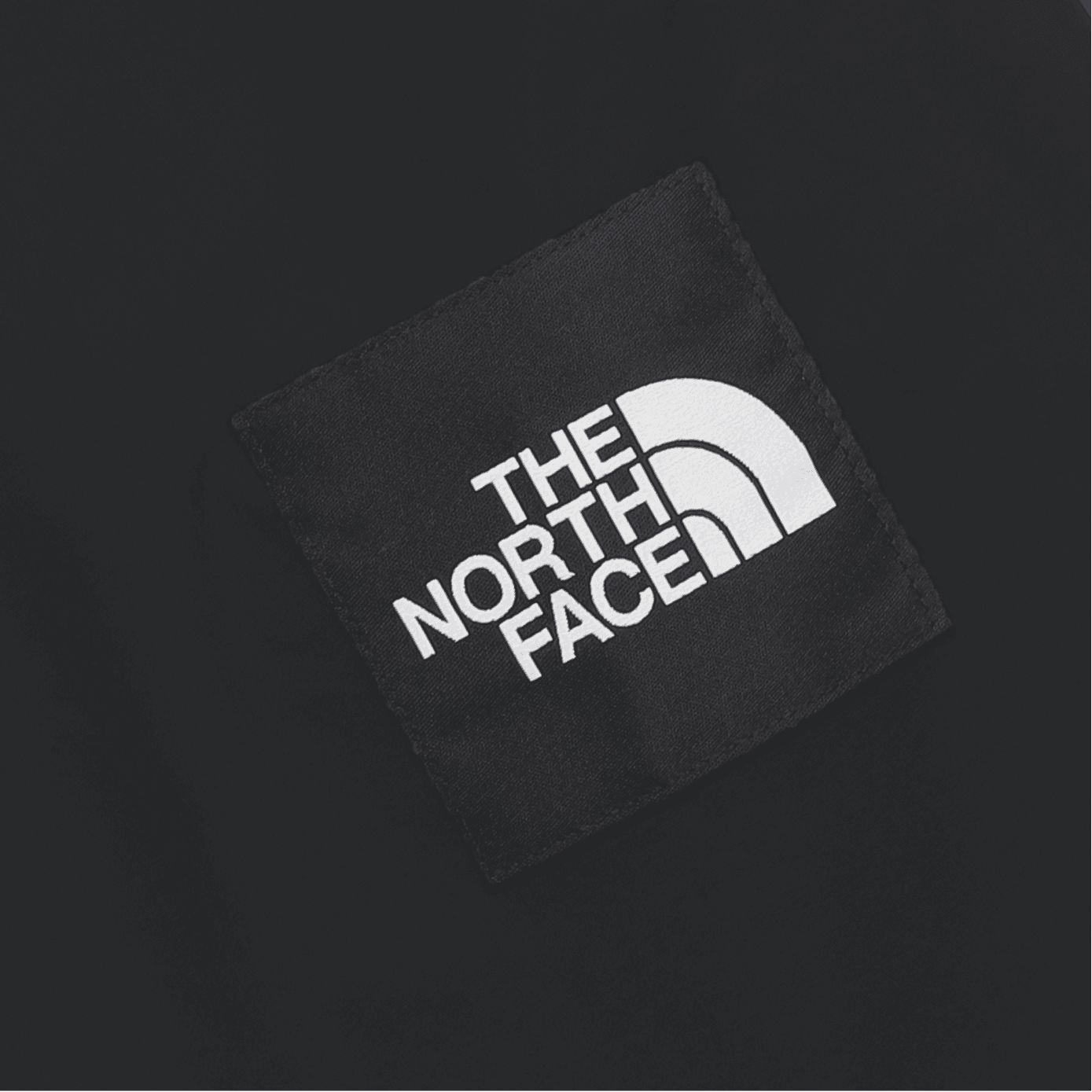 Куртка THE NORTH FACE Logo - изображение 3