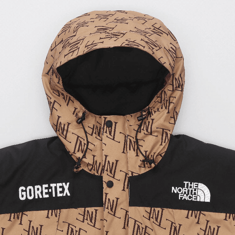 Зимняя куртка The North Face GORETEX600 Almond - изображение 5