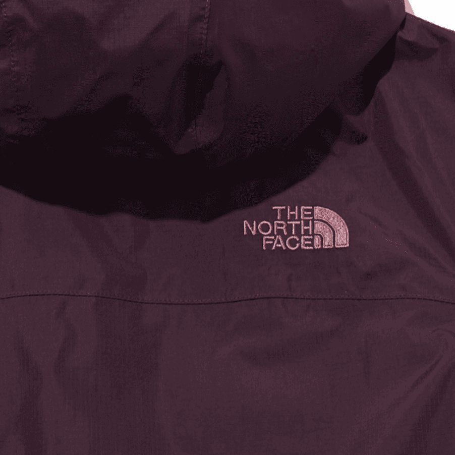Демисезонная куртка THE NORTH FACE Logo - изображение 3