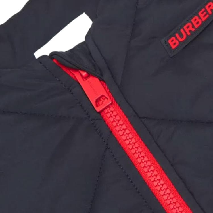 Burberry FW22 Logo - изображение 4