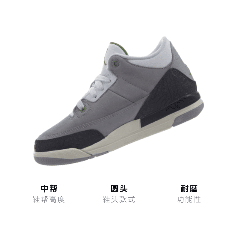 Кроссовки для баскетбола Jordan Air Jordan 3 - изображение 3